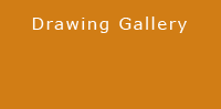Drawing Gallery